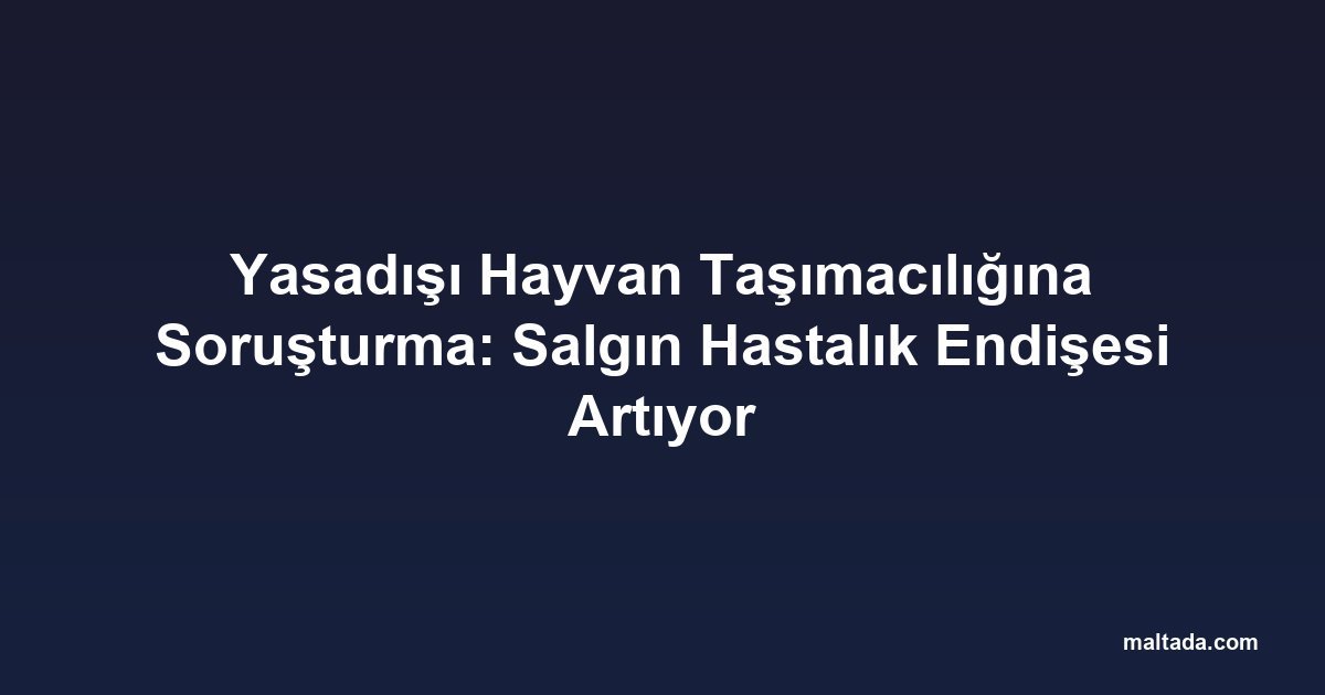 Yasadışı Hayvan Taşımacılığına Soruşturma: Salgın Hastalık Endişesi Artıyor