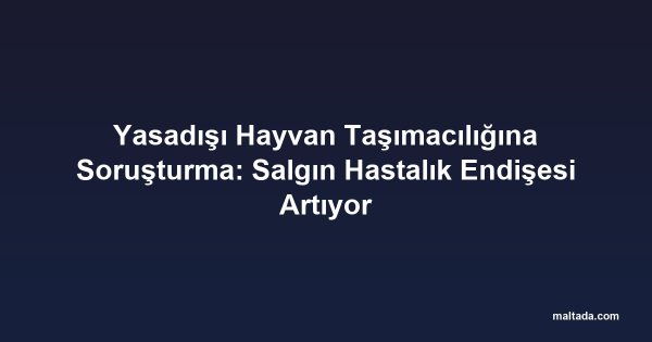 Yasadışı Hayvan Taşımacılığına Soruşturma: Salgın Hastalık Endişesi Artıyor