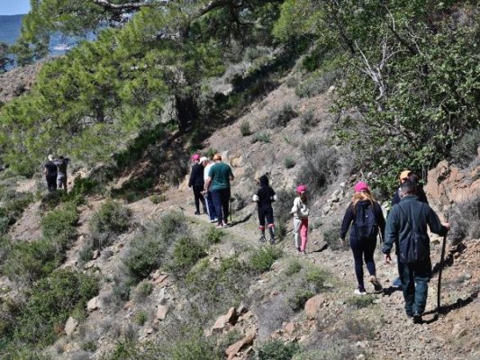Kıbrıs'ta ormancılık harcamaları yüzde 70 artıyor