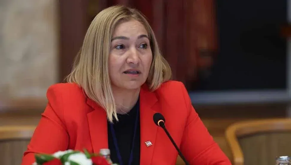 Kuzey Kıbrıs'ta dezenformasyon yasa tasarısına koalisyon içinden muhalefet büyüyor