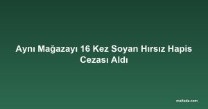 Aynı Mağazayı 16 Kez Soyan Hırsız Hapis Cezası Aldı