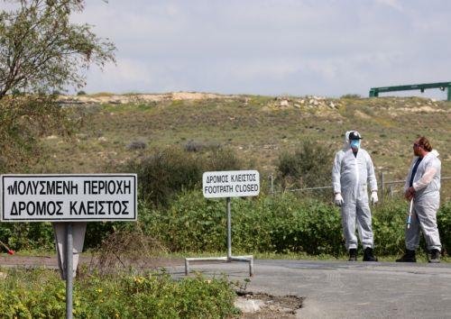 Kıbrıs'ta Şap Hastalığı Yayılma Riski Protokollere Uyulmadıkça Devam Edecek