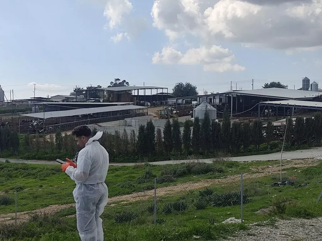 Şap Hastalığına Karşı Aşılama Sığırların Yüzde 98'ine Ulaştı, Yeni Vaka Görülmedi