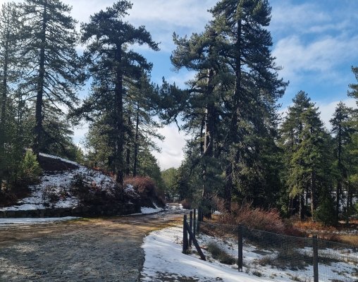 Hafta sonu bulutlu ve sağanak yağışlı geçecek