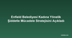 Enfield Belediyesi Kadına Yönelik Şiddetle Mücadele Stratejisini Açıkladı