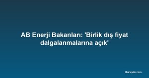 AB Enerji Bakanları: 'Birlik dış fiyat dalgalanmalarına açık'
