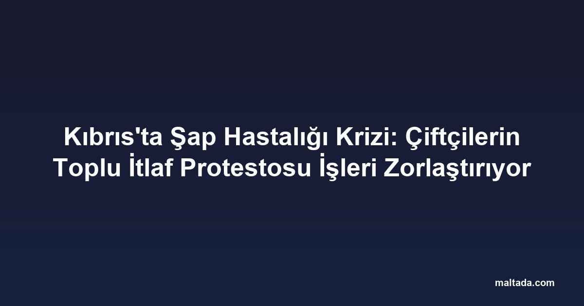 Kıbrıs'ta Şap Hastalığı Krizi: Çiftçilerin Toplu İtlaf Protestosu İşleri Zorlaştırıyor