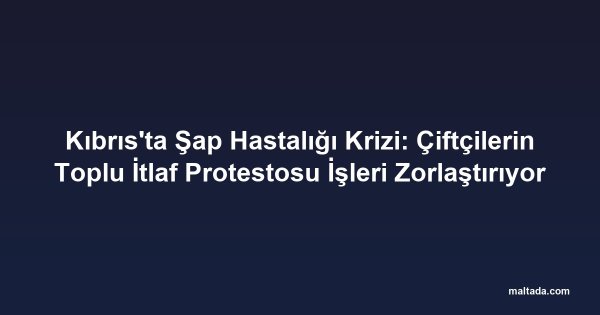 Kıbrıs'ta Şap Hastalığı Krizi: Çiftçilerin Toplu İtlaf Protestosu İşleri Zorlaştırıyor