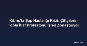 Kıbrıs'ta Şap Hastalığı Krizi: Çiftçilerin Toplu İtlaf Protestosu İşleri Zorlaştırıyor