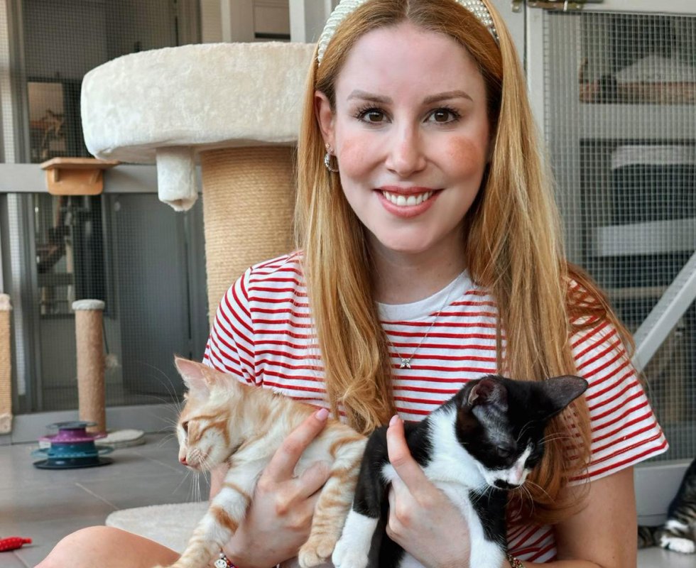 Kıbrıs'ın Sokak Kedileri İçin Yaratıcı Yardım Eli