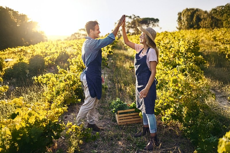 Lidl Kıbrıs 2024 Sürdürülebilirlik Raporu: Tutarlı strateji, somut etkiler