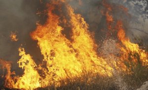 Kıbrıs Hükümeti Orman ve Kırsal Yangınlara Karşı 4,16 Milyon Euro'luk Önlem Paketi Onayladı