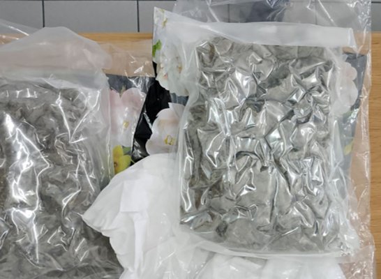 Lefkoşa'da 872,9 gram esrar ele geçirildi: 23 yaşındaki şüpheli tutuklandı