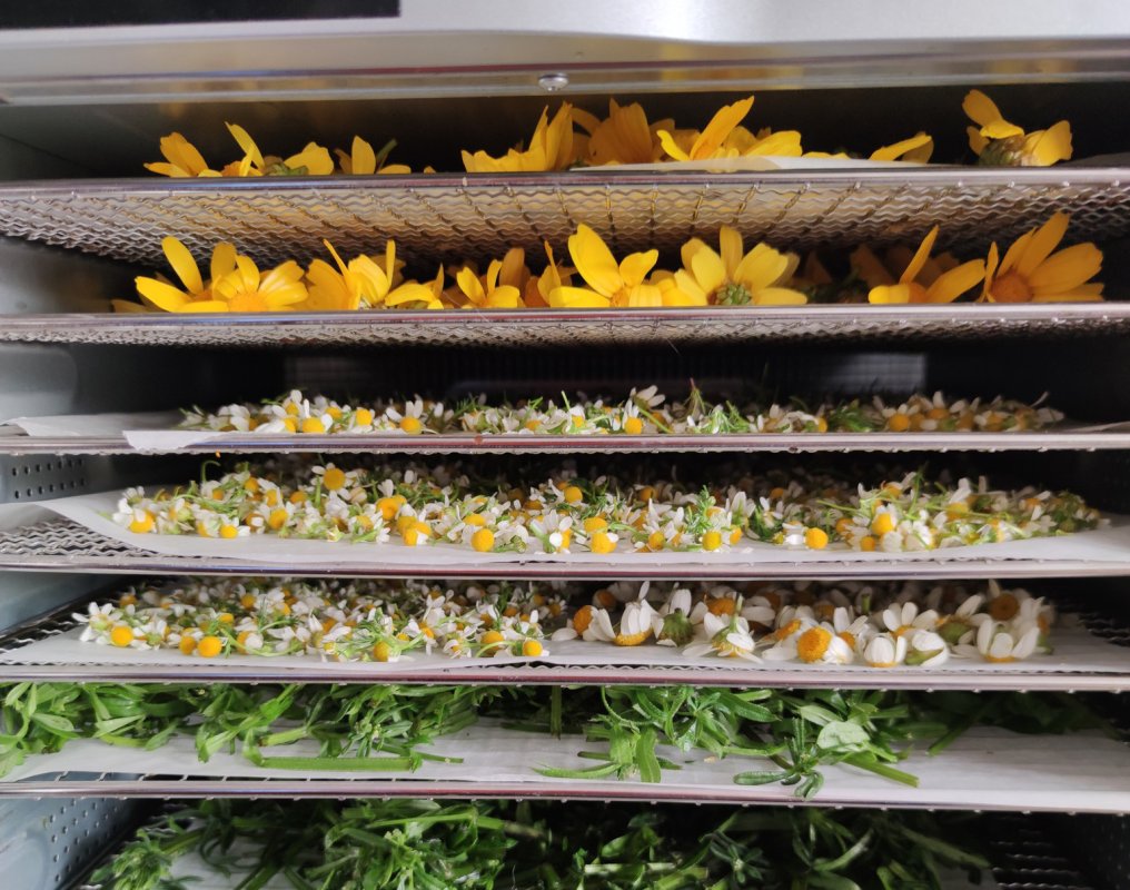 Baf'taki Episkopi Çevre Merkezi'nde atölye ve doğa etkinlikleri başlıyor