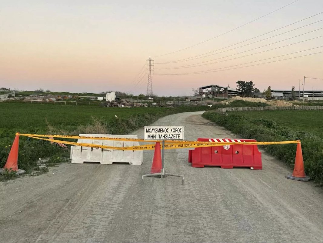 İngiliz üsleri Kıbrıs'ın şap hastalığı önlemleriyle uyumlu hareket ediyor: Akrotiri yakınında aşılama başladı