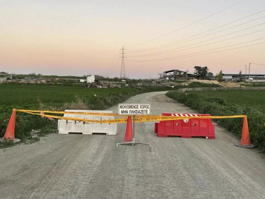 İngiliz üsleri Kıbrıs'ın şap hastalığı önlemleriyle uyumlu hareket ediyor: Akrotiri yakınında aşılama başladı