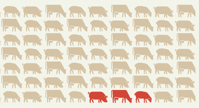 Şap hastalığı hakkında bilgilendirme web sitesi açıldı