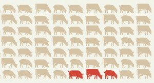 Şap hastalığı hakkında bilgilendirme web sitesi açıldı