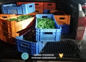 Polis, kuzeyden geçirilen 100 kg biberi ele geçirdi