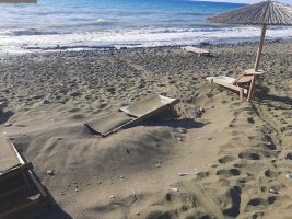 Korunan deniz canlılarını rahatsız edenlere 20.000 Euro'ya kadar para cezası getirildi