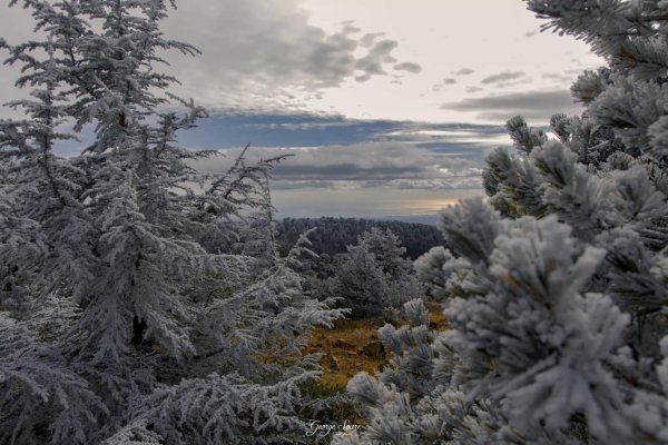Troodos'ta Kar Yağışı Sürüyor, Fırtınalı Günler Kapıda