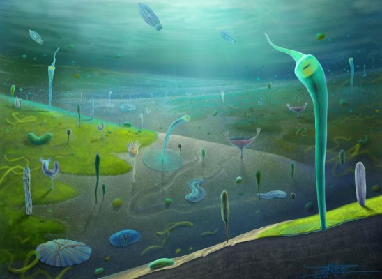 Çin'deki fosiller, hayvan evriminin beklenenden çok daha erken başladığını ortaya koydu