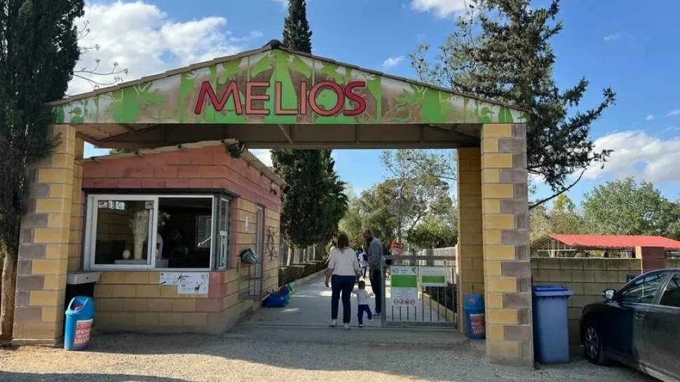 Melios Hayvanat Bahçesi kapandı: Hayvanlara ne olacak? İki parti yanıt verdi