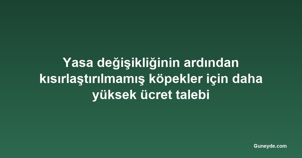 Yasa değişikliğinin ardından kısırlaştırılmamış köpekler için daha yüksek ücret talebi