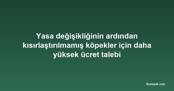Yasa değişikliğinin ardından kısırlaştırılmamış köpekler için daha yüksek ücret talebi