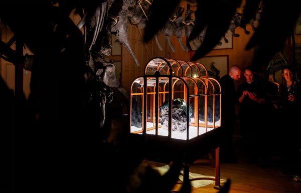 Dinozor kolajeninden yapılan dünyanın ilk el çantası tanıtıldı