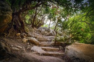 Avakas Vadisi Patikası Güvenlik Riskleri Nedeniyle Kapalı Kalmaya Devam Ediyor