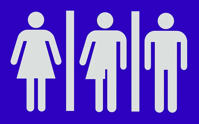 Kıbrıs Bilim Başdanışmanı toplumsal cinsiyet eşitliğindeki kazanımları vurguladı