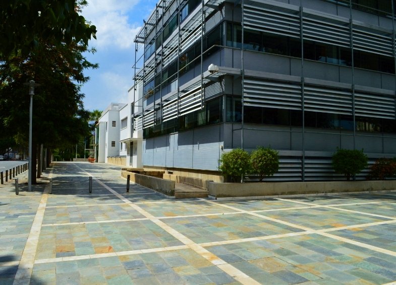 Kıbrıs Hükümeti Şap Hastalığı Kısıtlamalarından Etkilenen Domuz Çiftçilerine Destek Paketi Onayladı