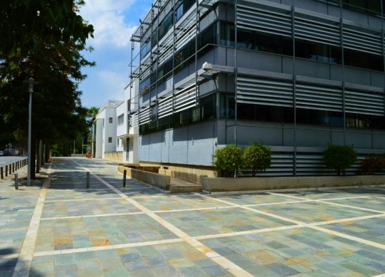 Kıbrıs Hükümeti Şap Hastalığı Kısıtlamalarından Etkilenen Domuz Çiftçilerine Destek Paketi Onayladı