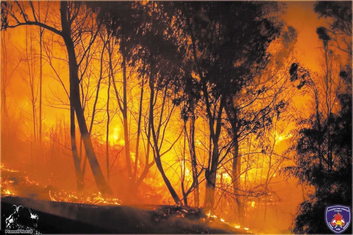 Güney Kıbrıs yaz boyunca orman yangınlarına karşı teyakkuzda olacak