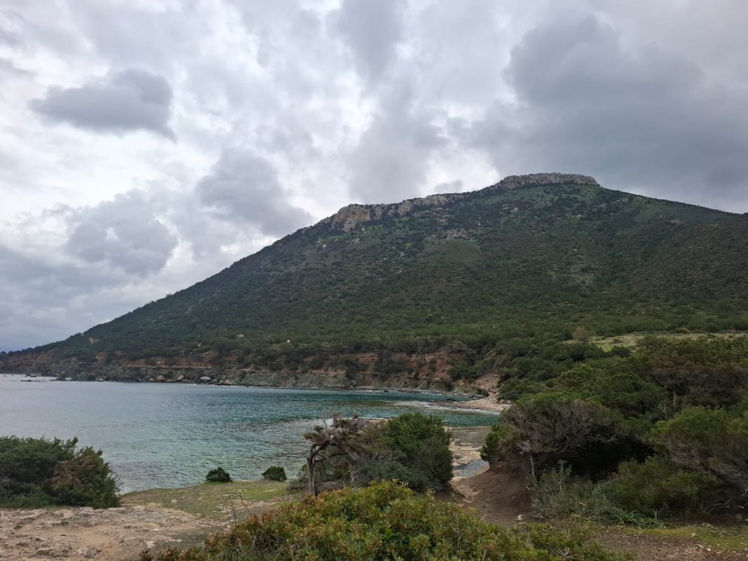 Çevre örgütleri, Tarım Bakanlığı'nın Akamas tutumuna tepki gösterdi