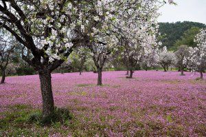 Bugünün hava durumu: Bulutlu başlangıç, güneşli öğleden sonra