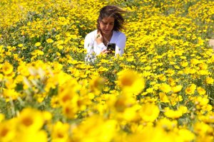 Paskalya hafta sonunda Kıbrıs'ta hava nasıl olacak?