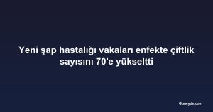 Yeni şap hastalığı vakaları enfekte çiftlik sayısını 70'e yükseltti