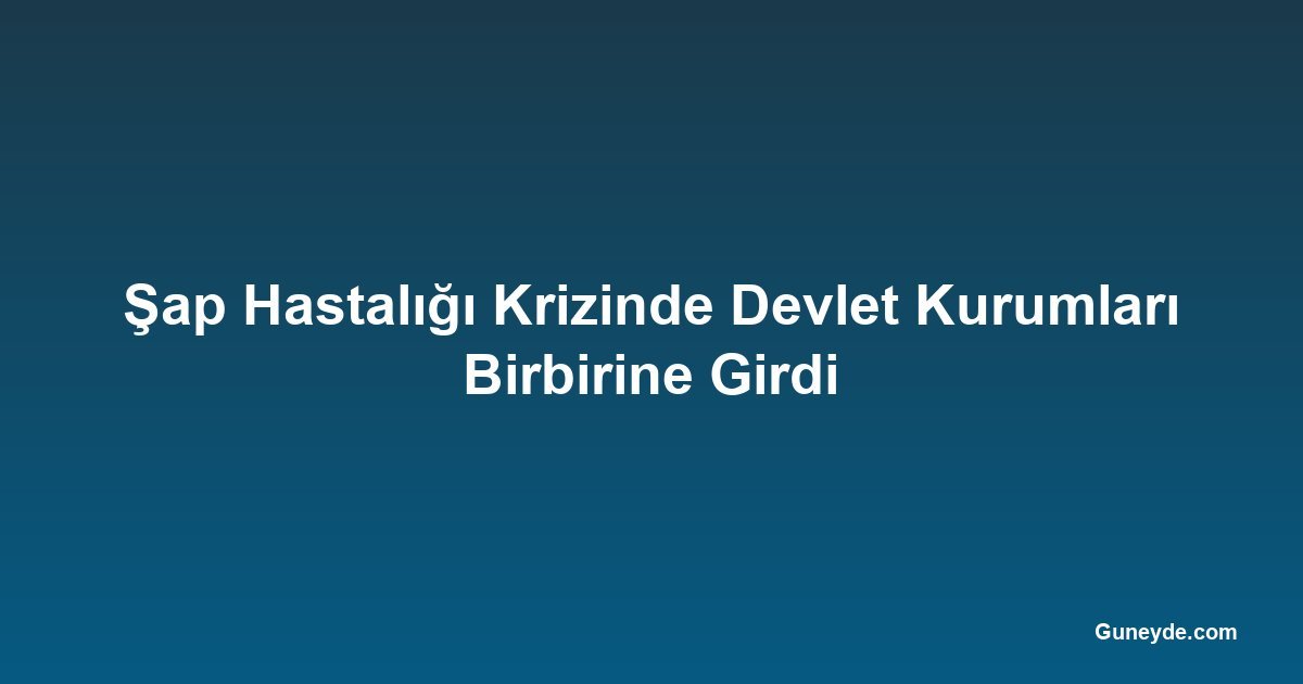 Şap Hastalığı Krizinde Devlet Kurumları Birbirine Girdi