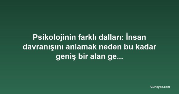 Psikolojinin farklı dalları: İnsan davranışını anlamak neden bu kadar geniş bir alan gerektiriyor?