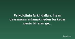 Psikolojinin farklı dalları: İnsan davranışını anlamak neden bu kadar geniş bir alan gerektiriyor?