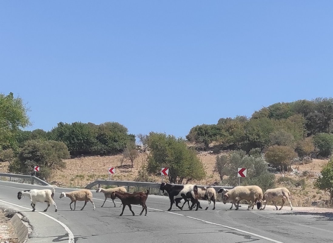 Hava durumu: Açık hava hakim, sıcaklıklar yükseliyor