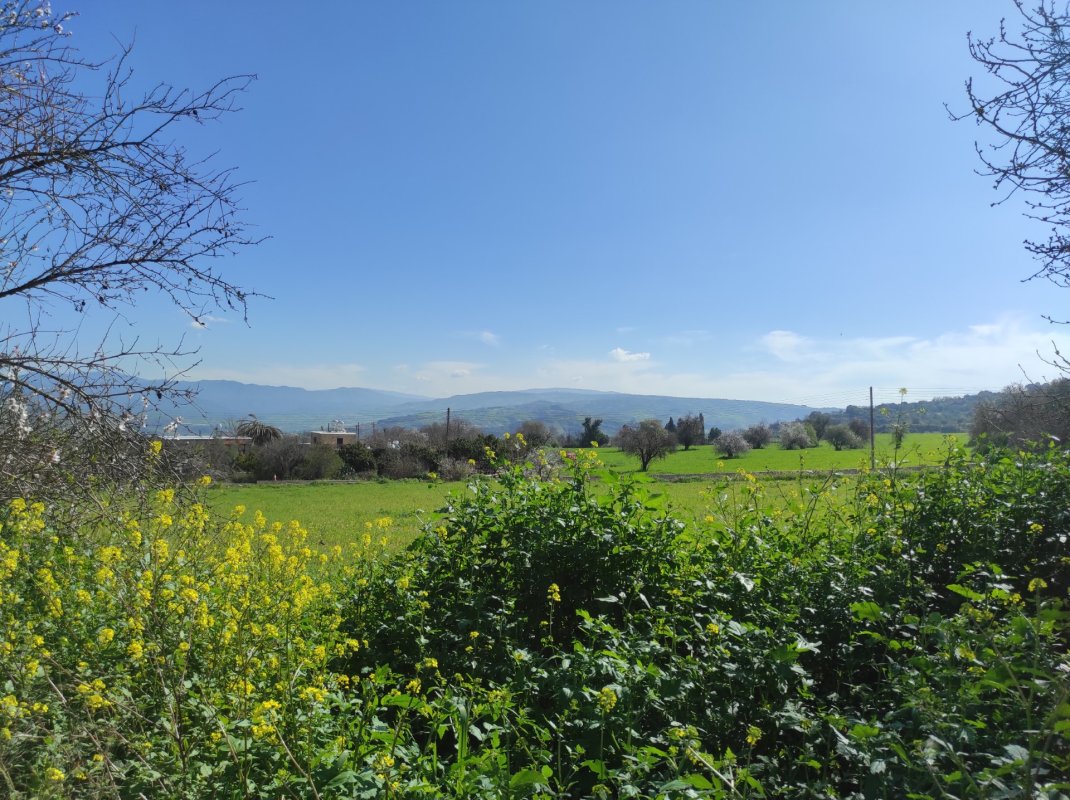 Hava durumu: Gün boyunca açık, akşam bulutlanma bekleniyor