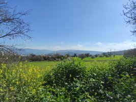 Hava durumu: Gün boyunca açık, akşam bulutlanma bekleniyor
