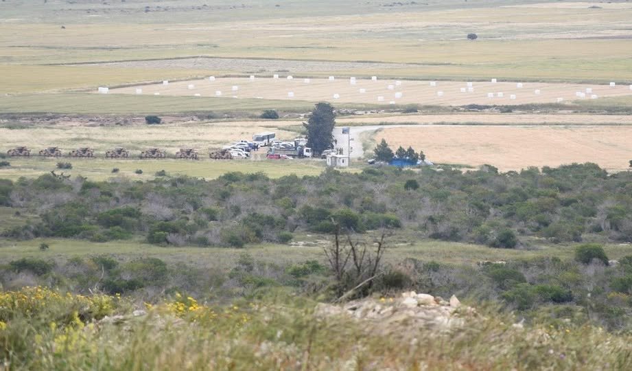 Türk Tankları Pergamos Yakınından Çekildi