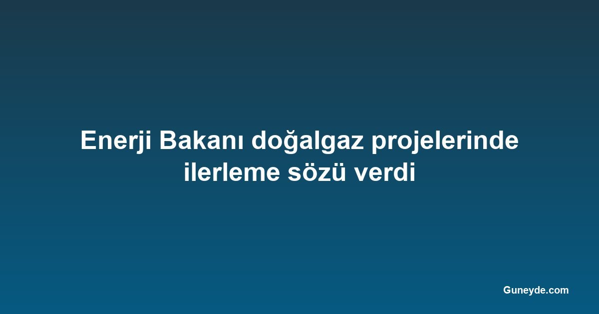 Enerji Bakanı doğalgaz projelerinde ilerleme sözü verdi
