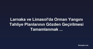 Larnaka ve Limasol'da Orman Yangını Tahliye Planlarının Gözden Geçirilmesi Tamamlanmak Üzere