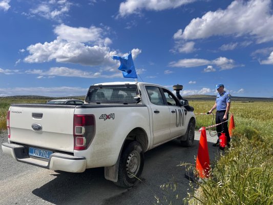 Palaiometocho'da 4 Bin Domuz İtlaf Edilecek