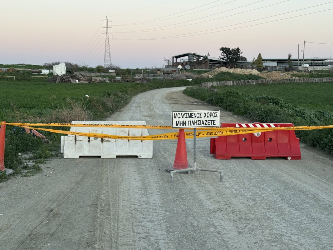 Kıbrıs'ta şap hastalığı 50 çiftliğe yayıldı